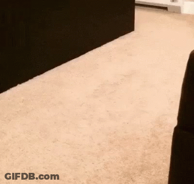 Red Background Revelation 10 7 CPDV GIF