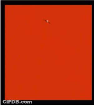 Red Background White Cat Outline GIF