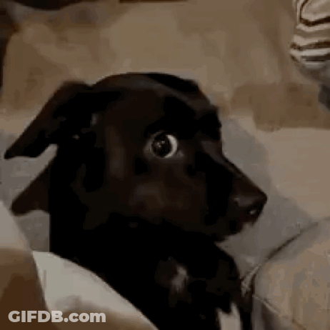 Red Background With I Love Fall In White GIF