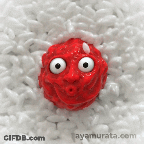 Red Ball Big Eyes In White Rice Ayamurata.com GIF