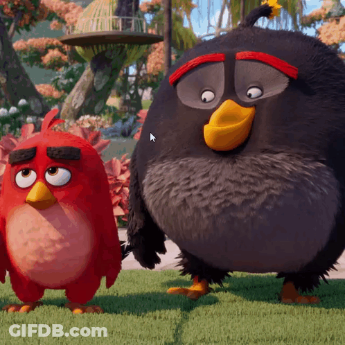 Red Bird And Black Bird From Angry Birds Movie GIF