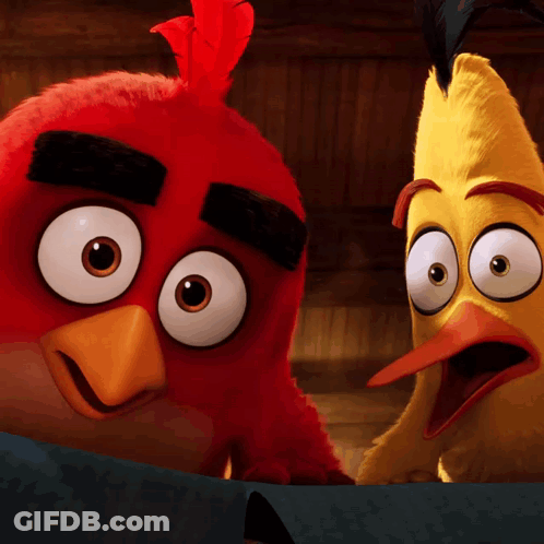 Red Bird And Yellow Bird Surprised Looking At Each Other GIF