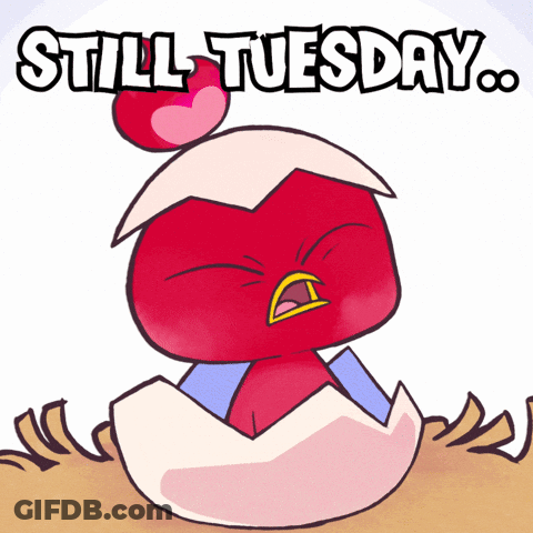 Red Bird In Egg Still Tuesday GIF