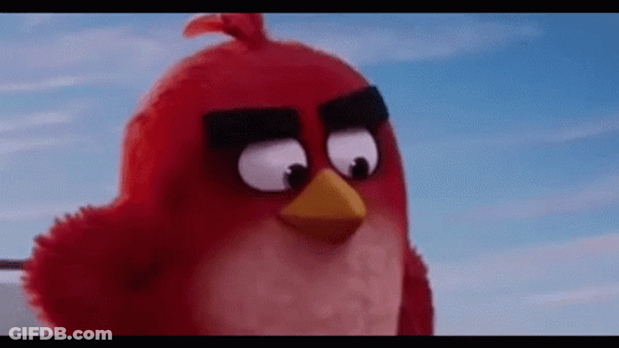 Red Bird Raises Brows GIF