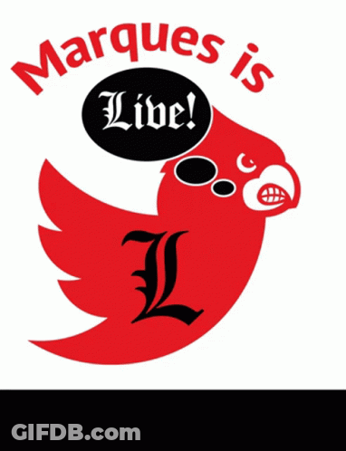 Red Bird Saying Marques Is Live GIF