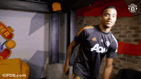 Red Bird Saying Marques Is Live GIF