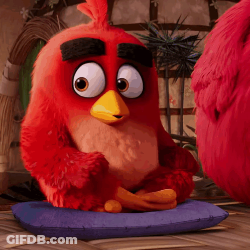 Red Bird Sitting On Blue Pillow GIF