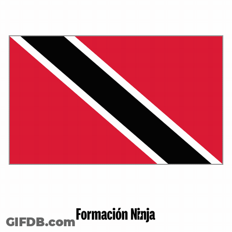 Red Black And White Flag Saying Formacion Ninja GIF
