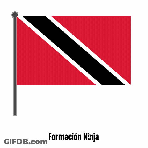 Red Black And White Flag Saying Formacion Ninja GIF