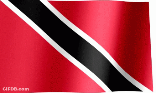 Red Black And White Flag With White Stripe GIF