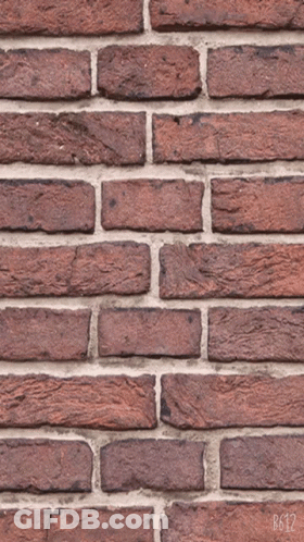 Red Brick Wall With B612 Numbers GIF