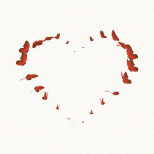 Red Butterflies Heart Formation GIF