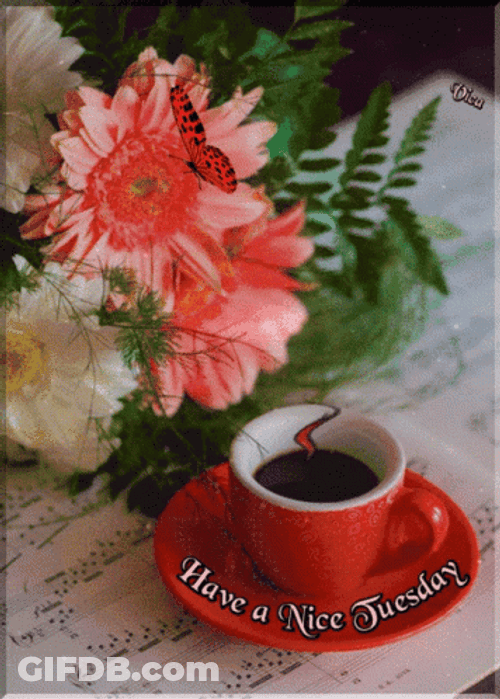 Red Butterfly Cute Tuesday GIF