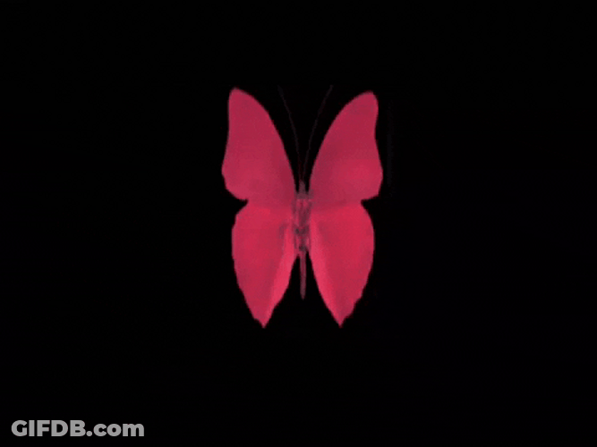 Red Butterfly Wings Heart GIF