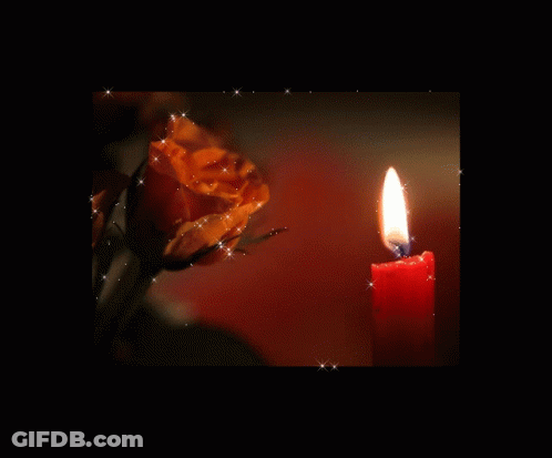 Red Candle Lit Next To Yellow Rose GIF