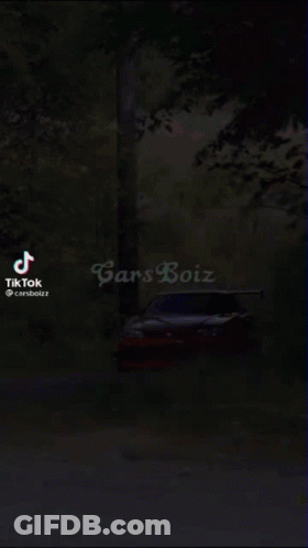 Red Car Driving Down Road With Trees And Grass GIF