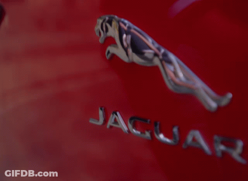Red Car Driving Down Road With Trees GIF