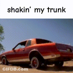 Red Car Shakin My Trunk GIF
