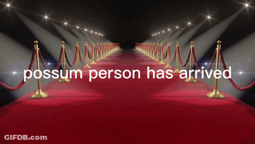 Red Carpet Possess Person Has Arrived GIF