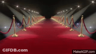 Red Carpet With Gold Rope Barriers And Spotlights GIF