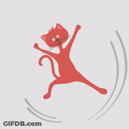 Red Cat Animation Cartwheel GIF