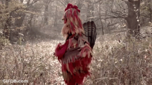 Red Chicken Standing In Forest GIF