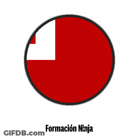 Red Circle With Formacion Ninja GIF
