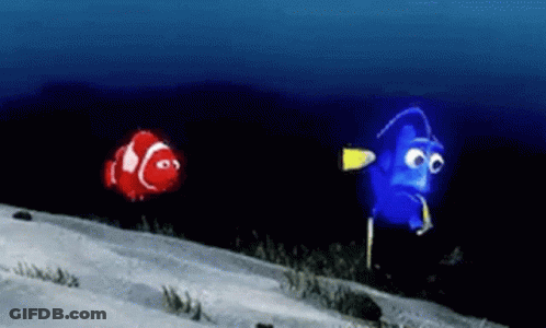 Red Clown Fish And Blue Fish Swimming GIF