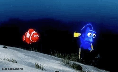 Red Clown Fish And Blue Fish Swimming GIF