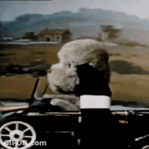 Red Couch Guys It's Summer Vacation GIF