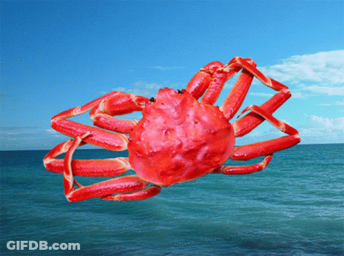 Red Crab Swimming In Ocean GIF