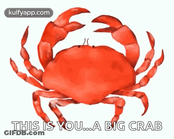 Red Crab This Is You ... A Big Crab GIF