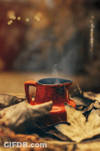 Red Cup With Steam On Leaves GIF