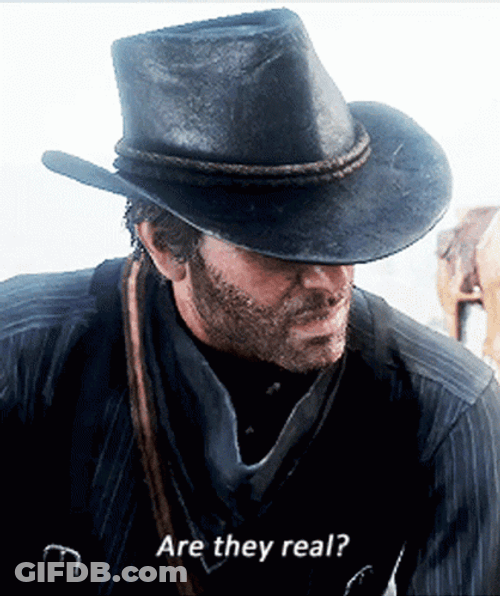 Red Dead Redemption 2 Arthur Morgan Asking GIF