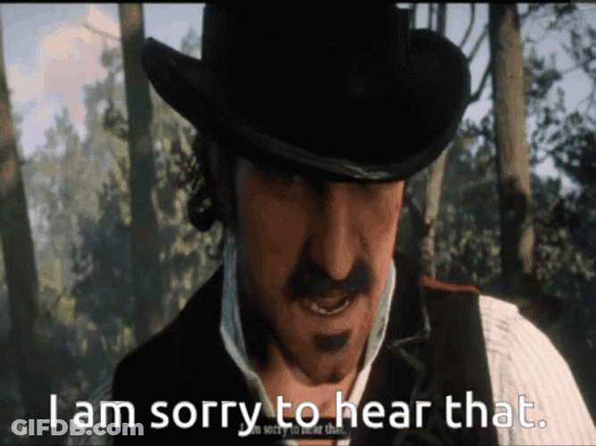 Red Dead Redemption 2 Dutch Apology GIF