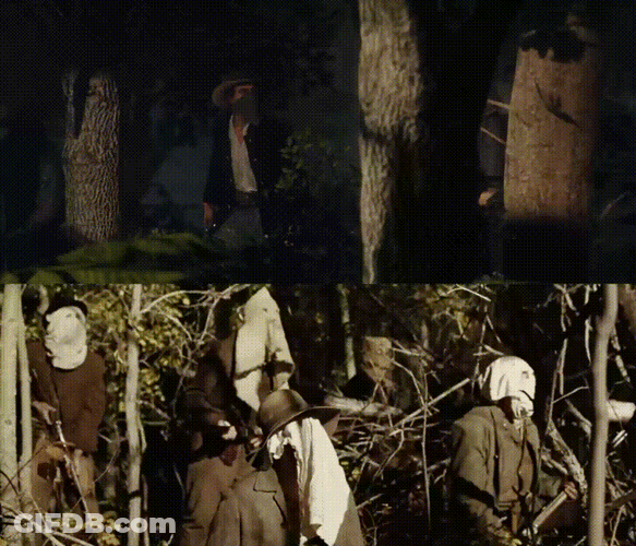 Red Dead Redemption 2 Waiting For The Train GIF