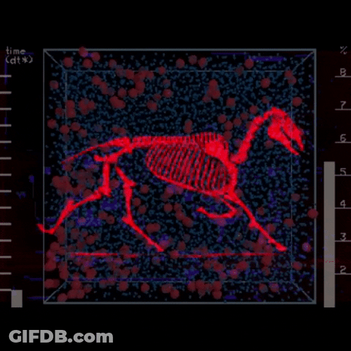 Red Dinosaur Skeleton Running GIF