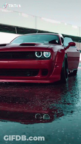 Red Dodge Challenger Parked In Puddle GIF