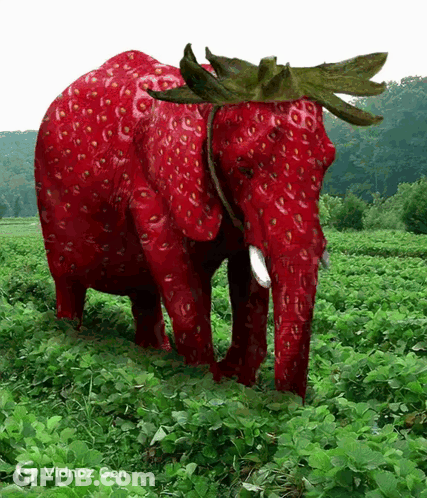 Red Elephant With Strawberry On Head GIF