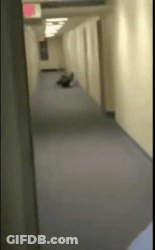 Red Exit Sign In Hallway GIF