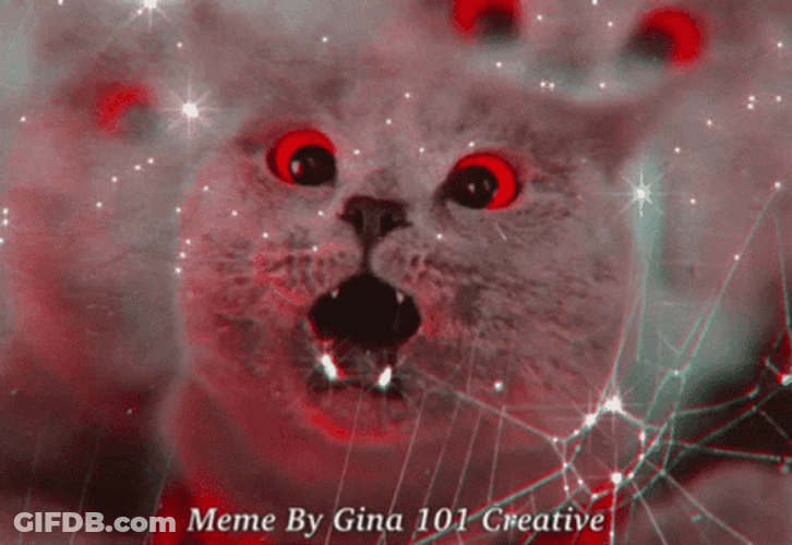 Red Eyed Cat Screaming Of Shock GIF