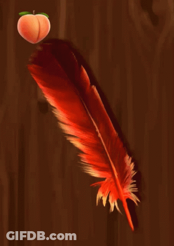 Red Feather And Orange Peach GIF