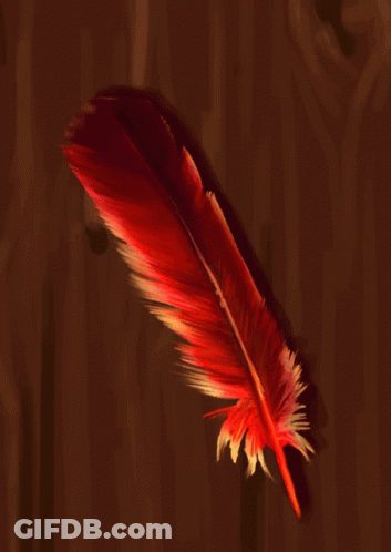 Red Feather On Brown Surface GIF