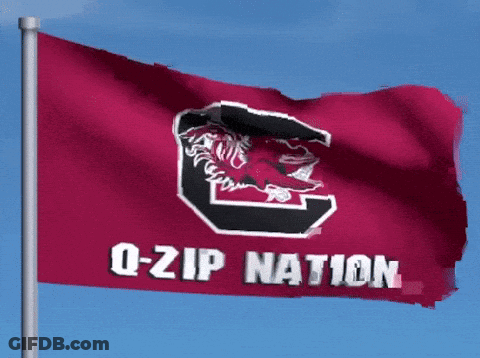 Red Flag Saying Q-Zip Nation Waving In Wind GIF
