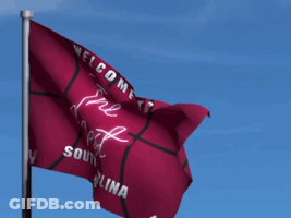 Red Flag Saying The Nest South Carolina GIF