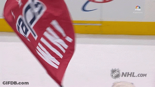 Red Flag Saying Victory GIF