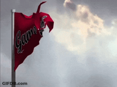 Red Flag Waving With Word Game GIF