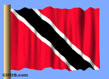 Red Flag With Black And White Stripe GIF