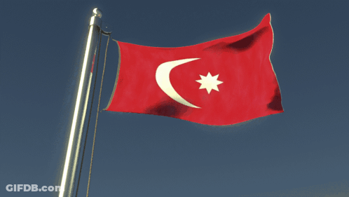 Red Flag With Crescent Moon And Star GIF