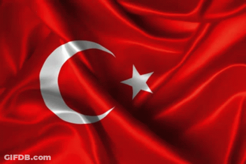 Red Flag With Crescent Moon And Star GIF